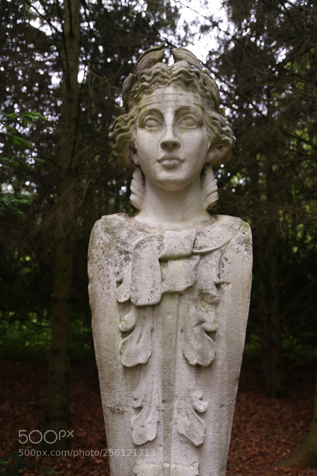Canon EOS 6D + Canon EF 24-105mm F4L IS USM sample photo. Anglesey abbey, national trust photography