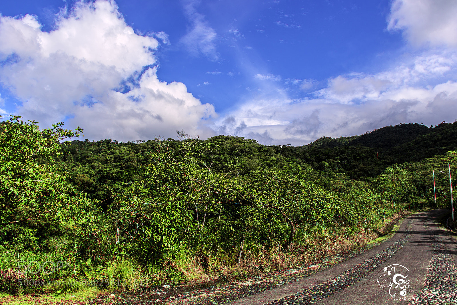 Canon EOS 7D Mark II sample photo. Da photography