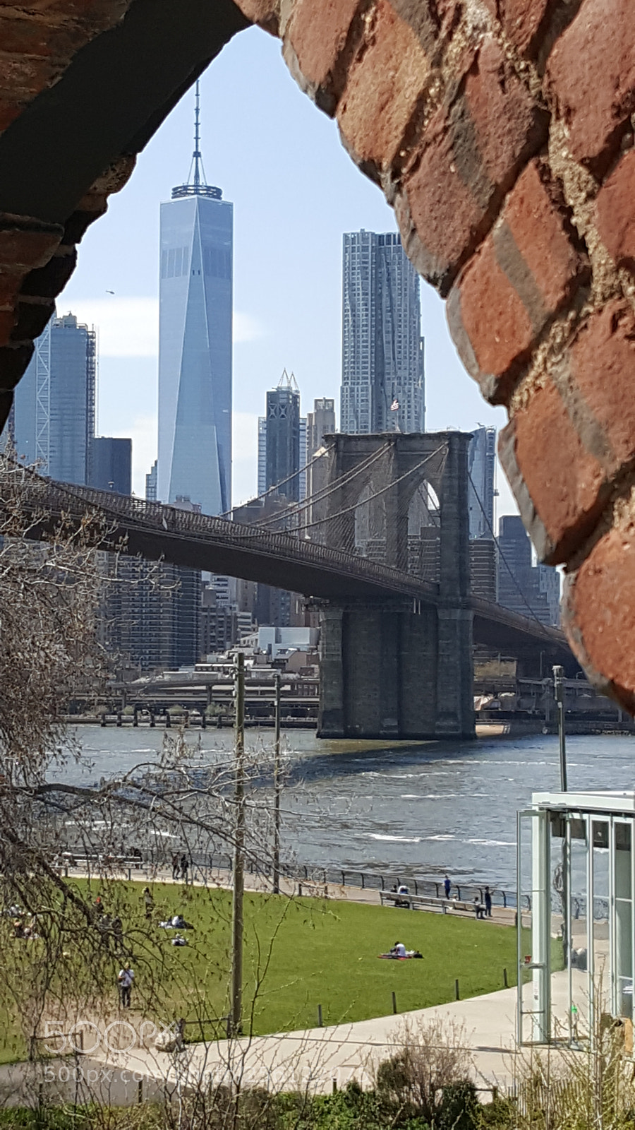 Samsung Galaxy S6 sample photo. A new frame for photography