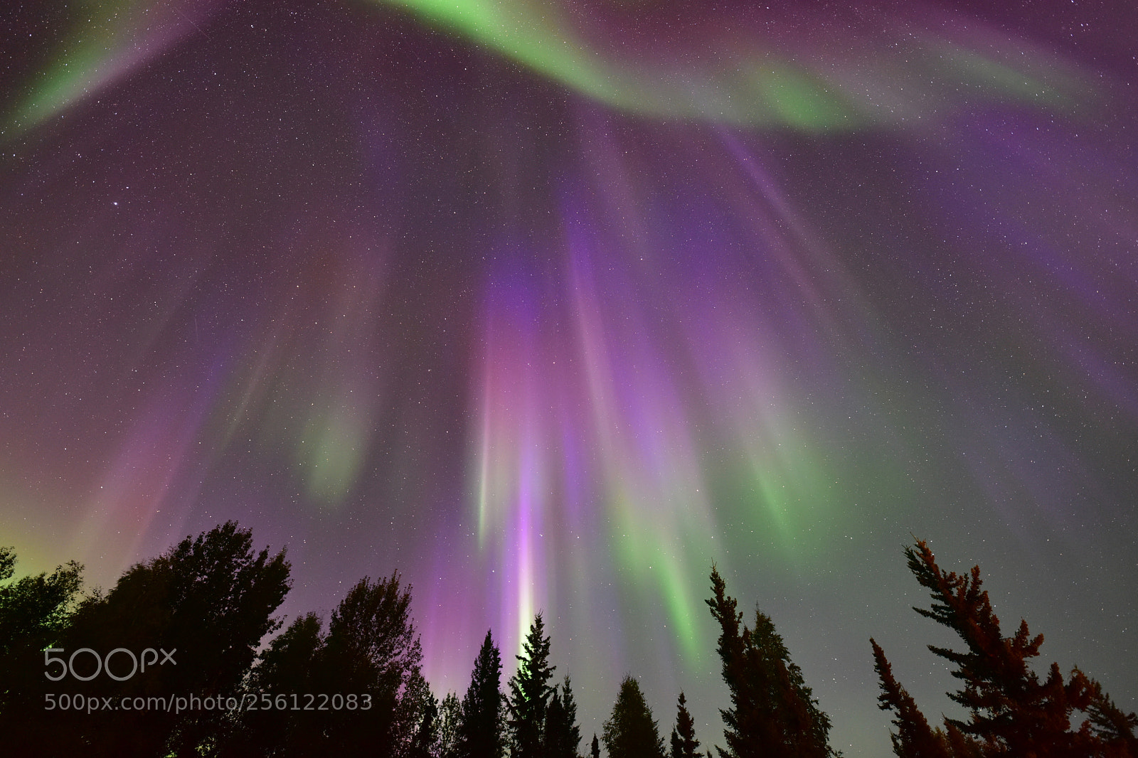 Nikon D810 sample photo. Dancing northern lights photography
