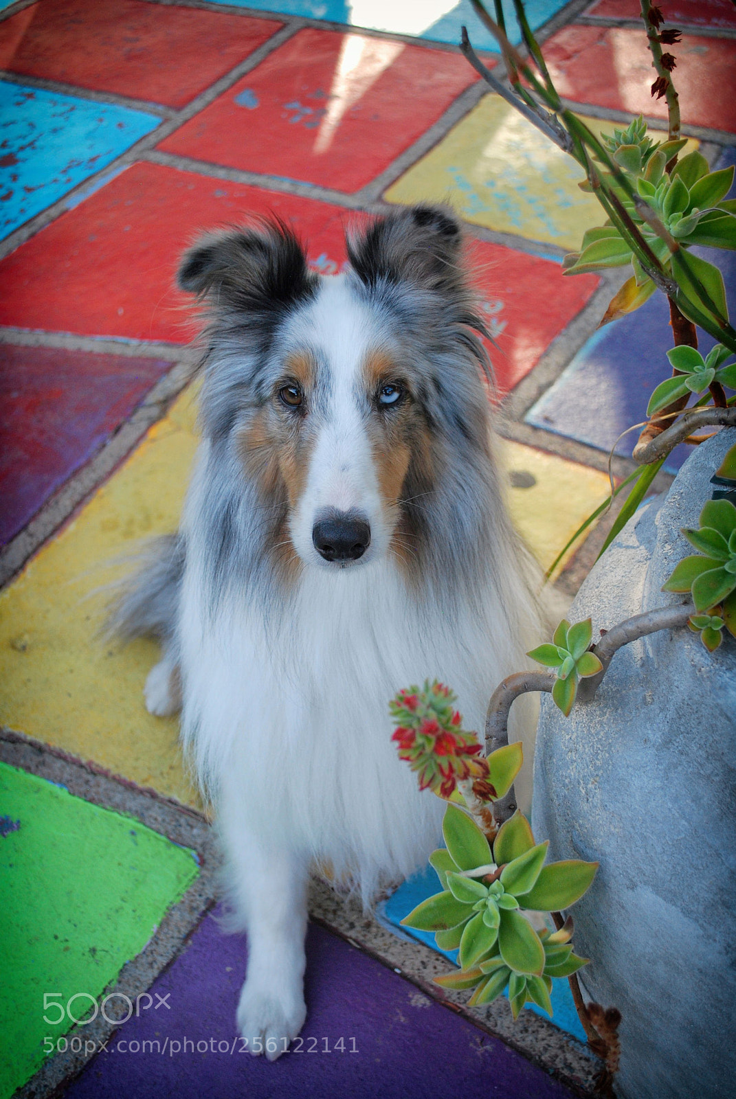 Nikon D60 sample photo. 23 photography