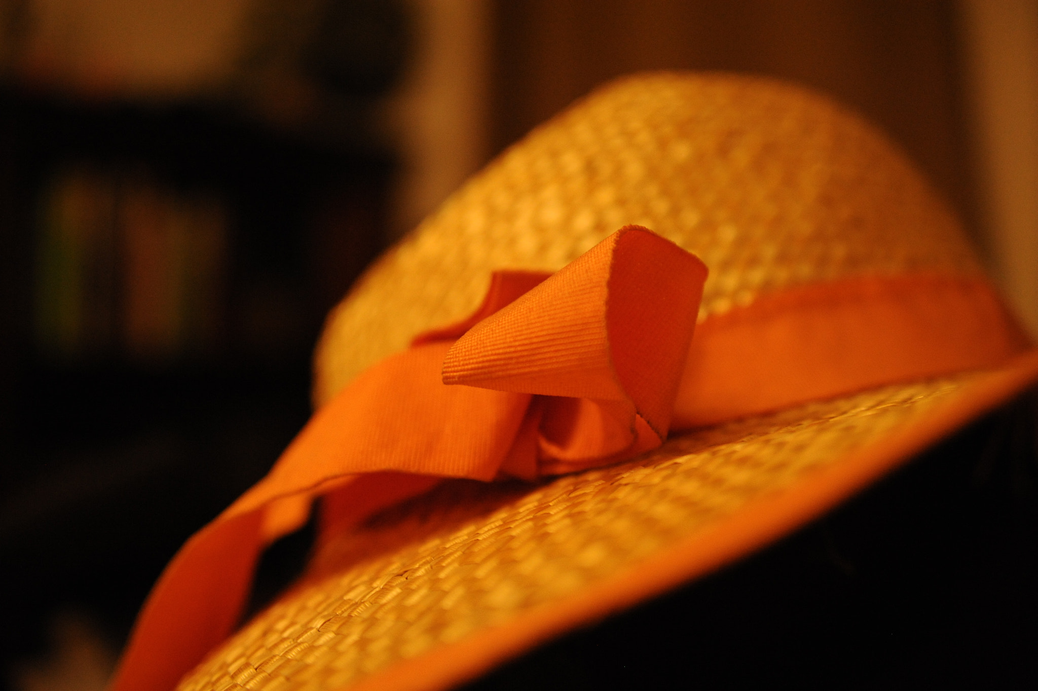 Nikon D700 sample photo. A hat photography