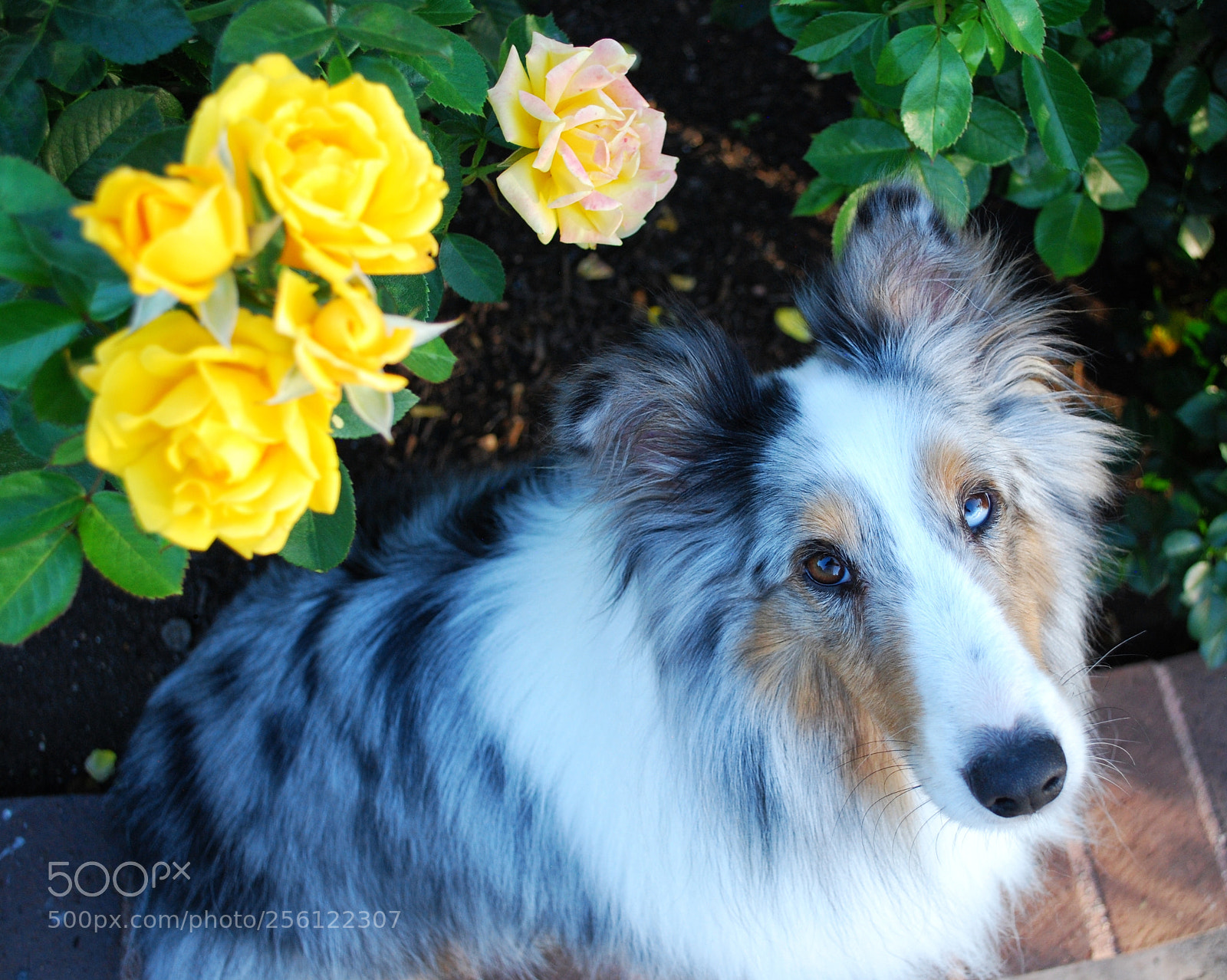 Nikon D60 sample photo. 24 photography