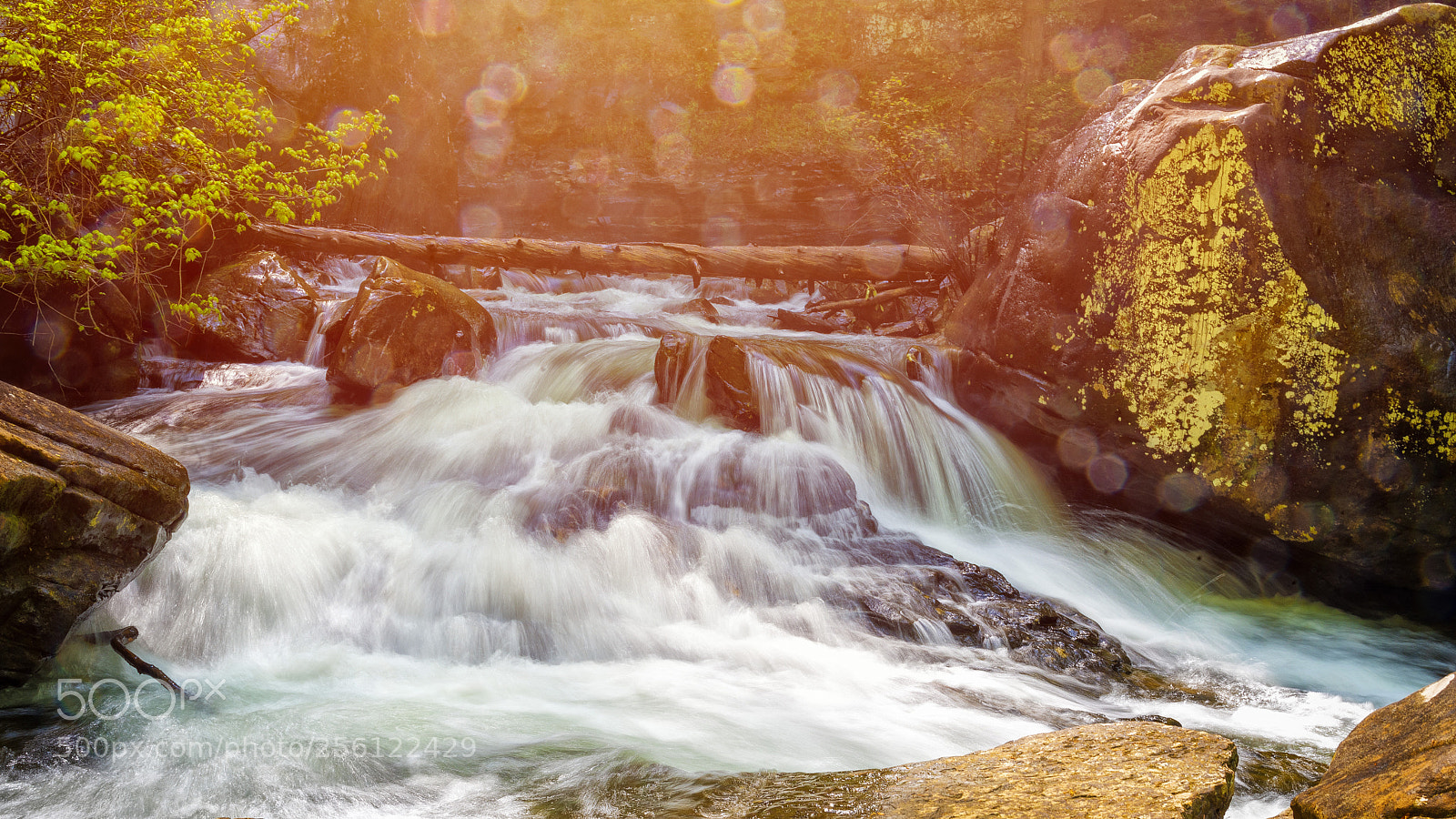 Nikon D750 sample photo. Hemlock falls photography