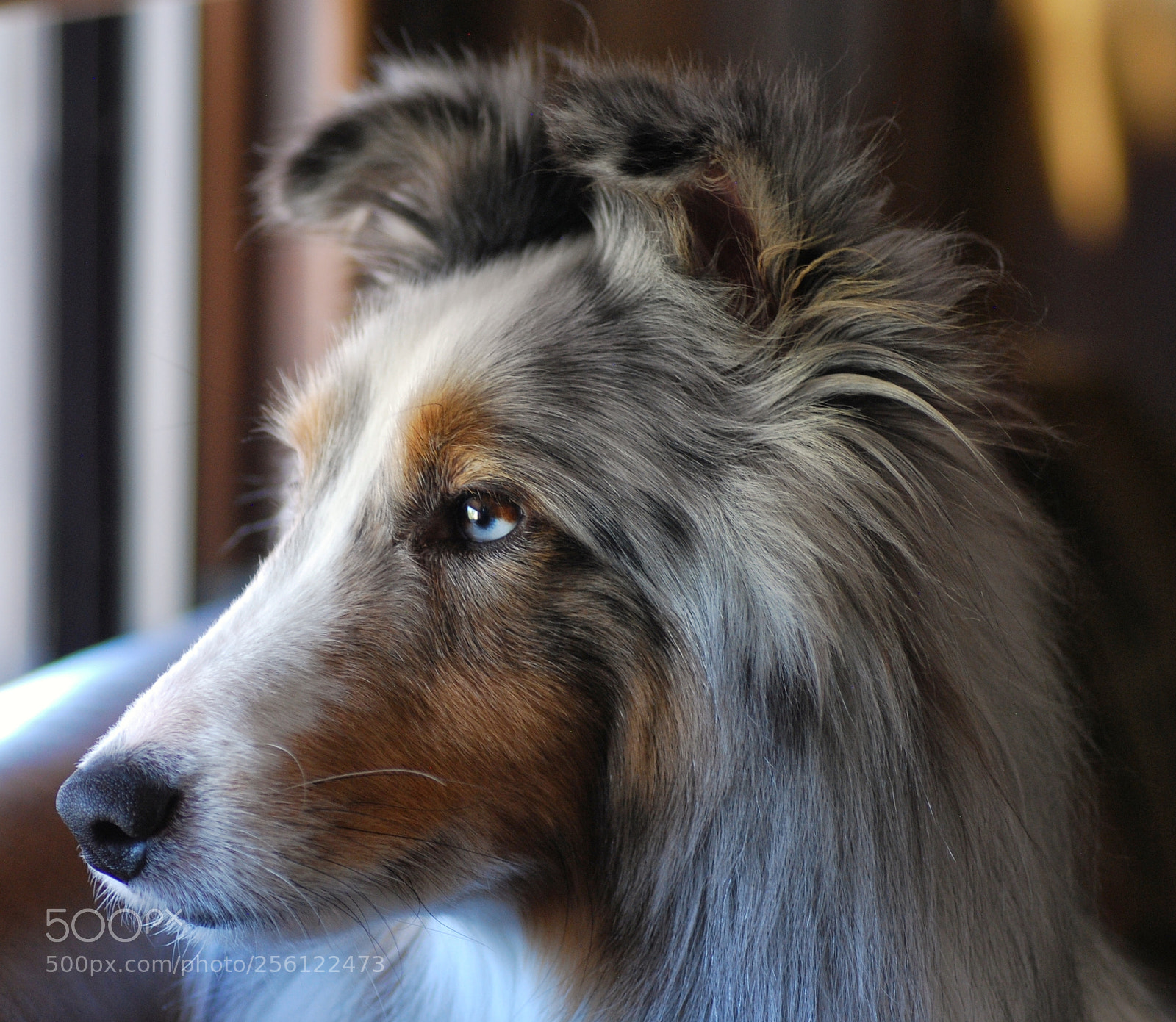 Nikon D60 sample photo. 25 photography