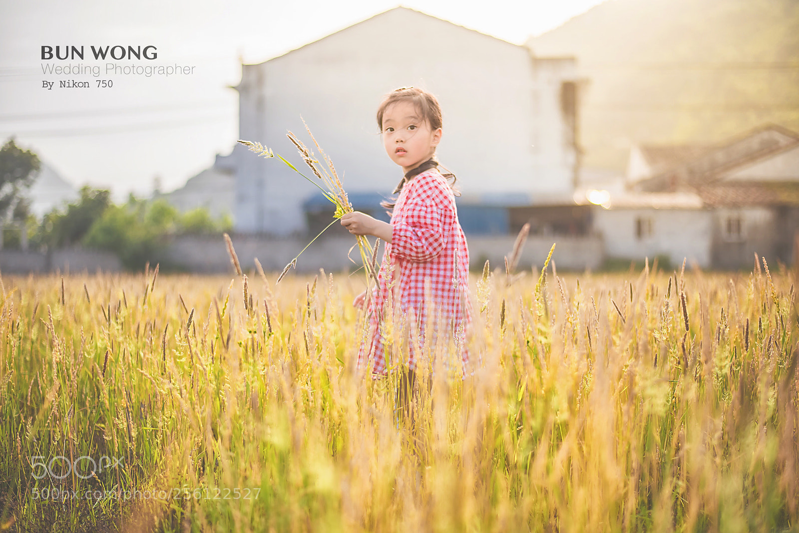 Nikon D750 sample photo. 触摸阳光， 因为那有温暖。 photography