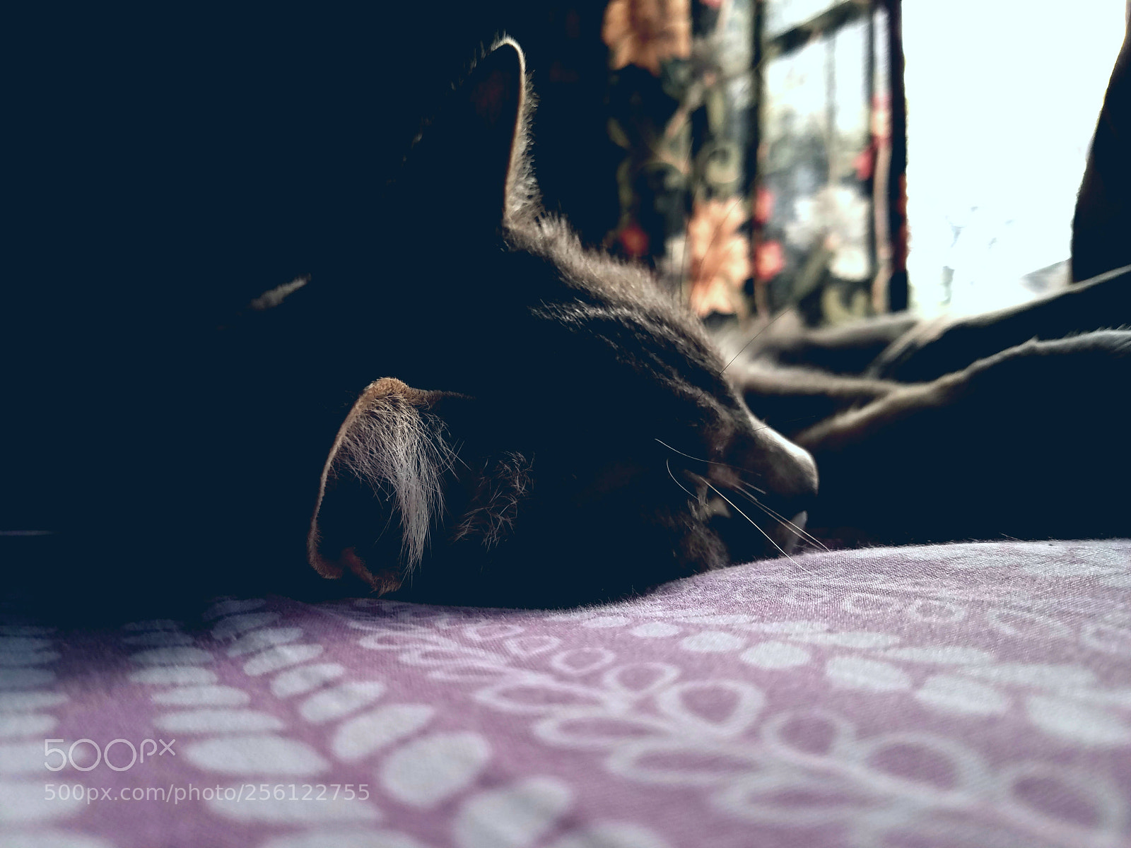 Samsung Galaxy S7 Edge sample photo. Untitled photography