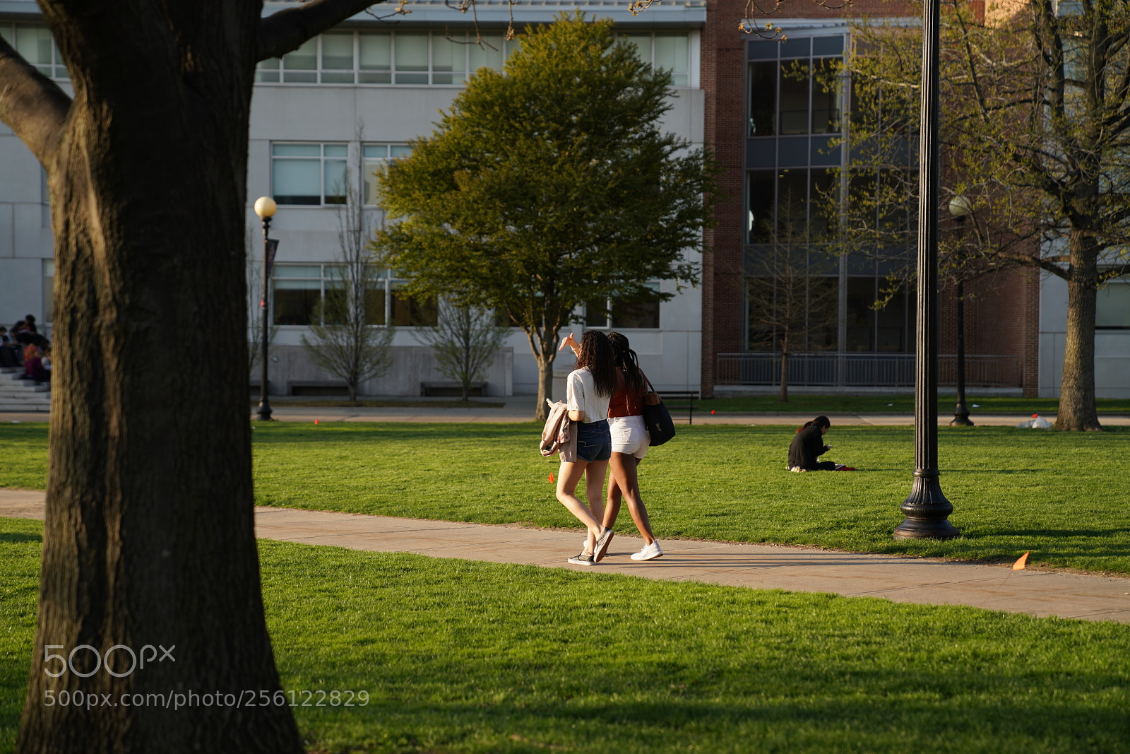 Sony a7R III sample photo. Dsc photography