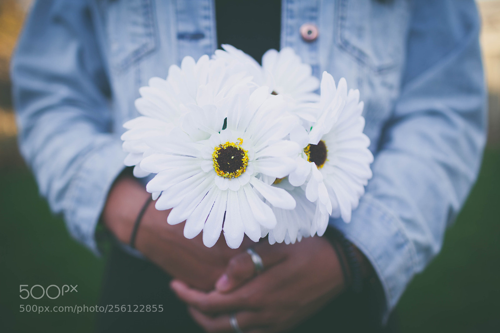 Canon EOS 5D Mark II sample photo. 17/52 photography