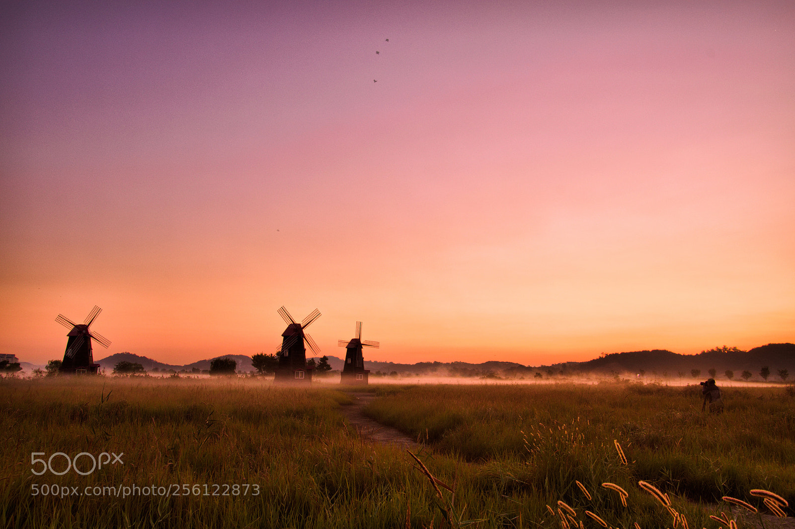 Nikon D5500 sample photo. Dawn and photograper photography
