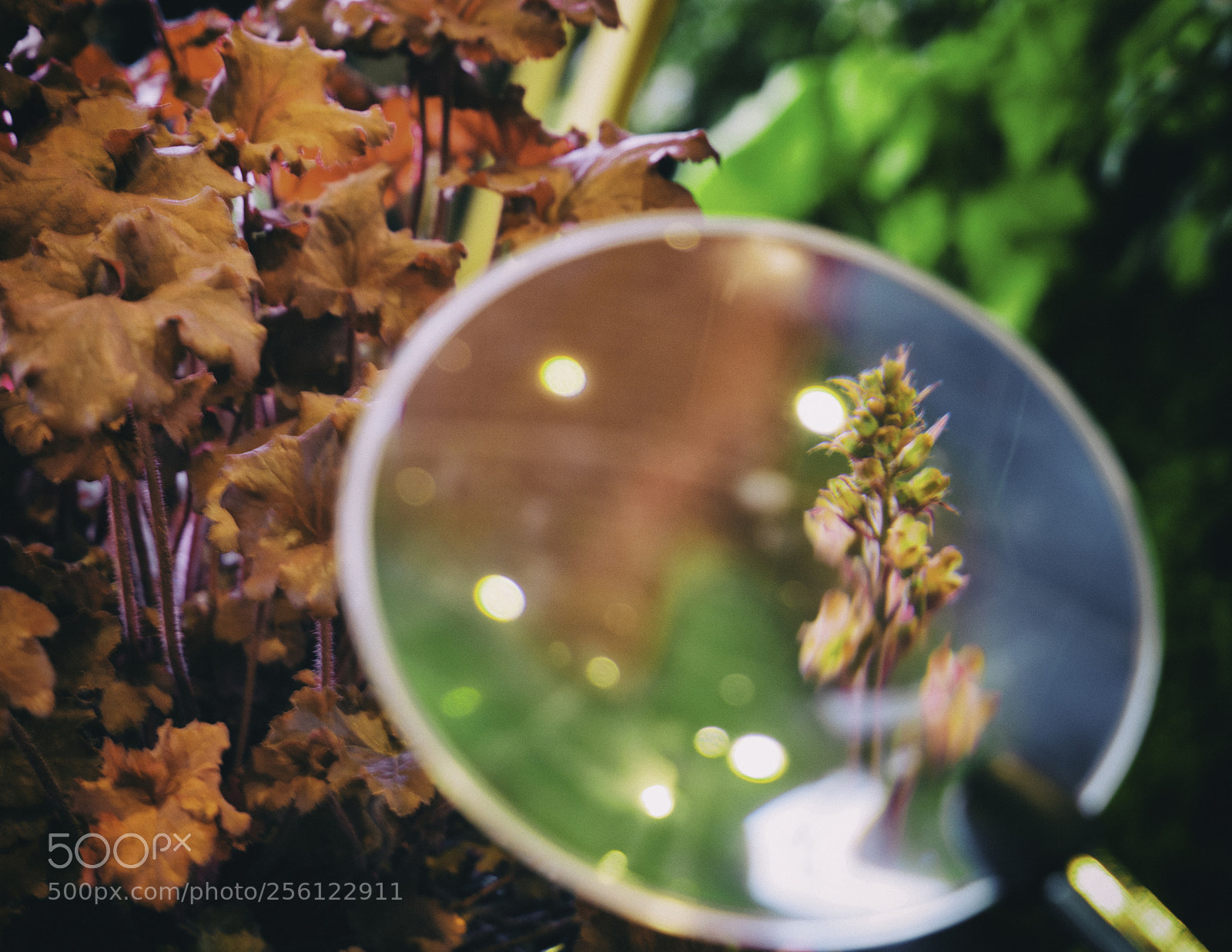 Sony a7R II sample photo. Ease photography