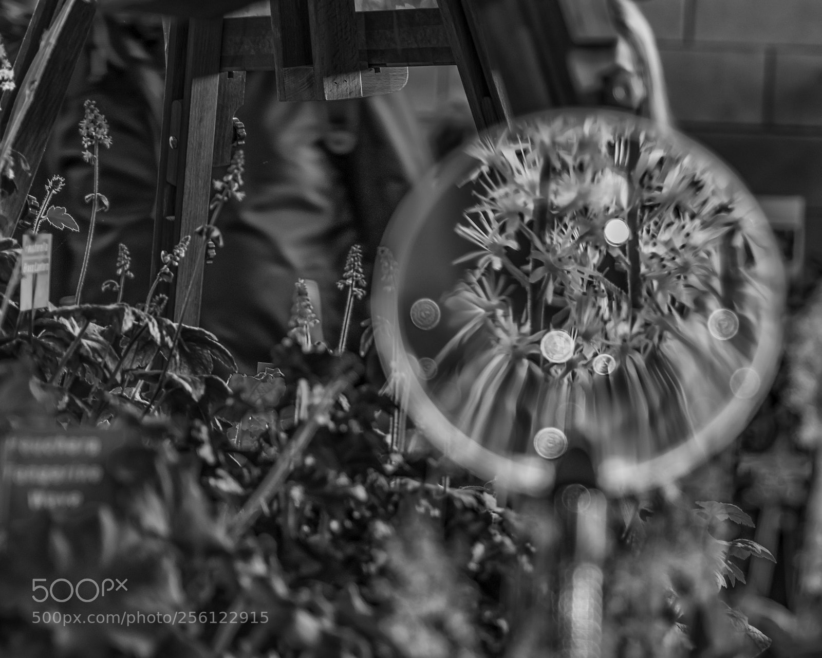 Sony a7R II sample photo. Scrutiny photography