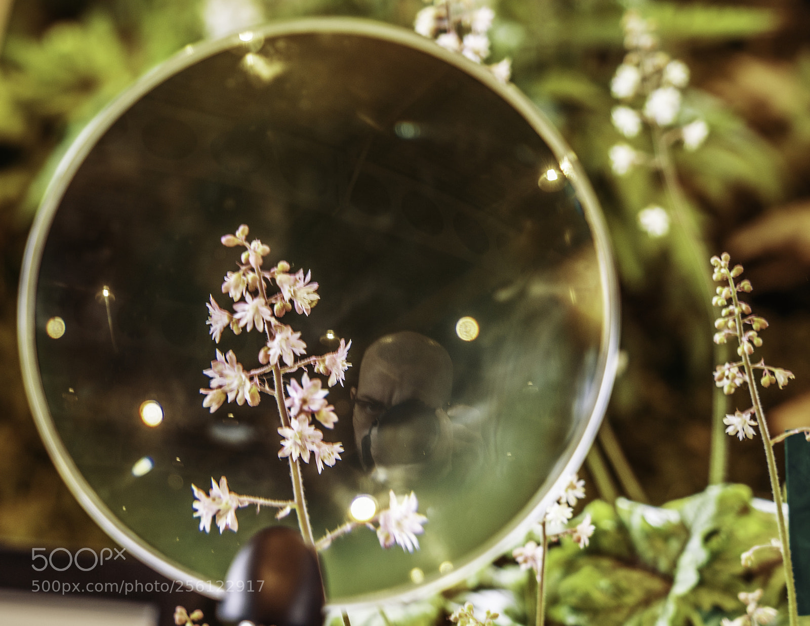 Sony a7R II sample photo. Cant hide photography