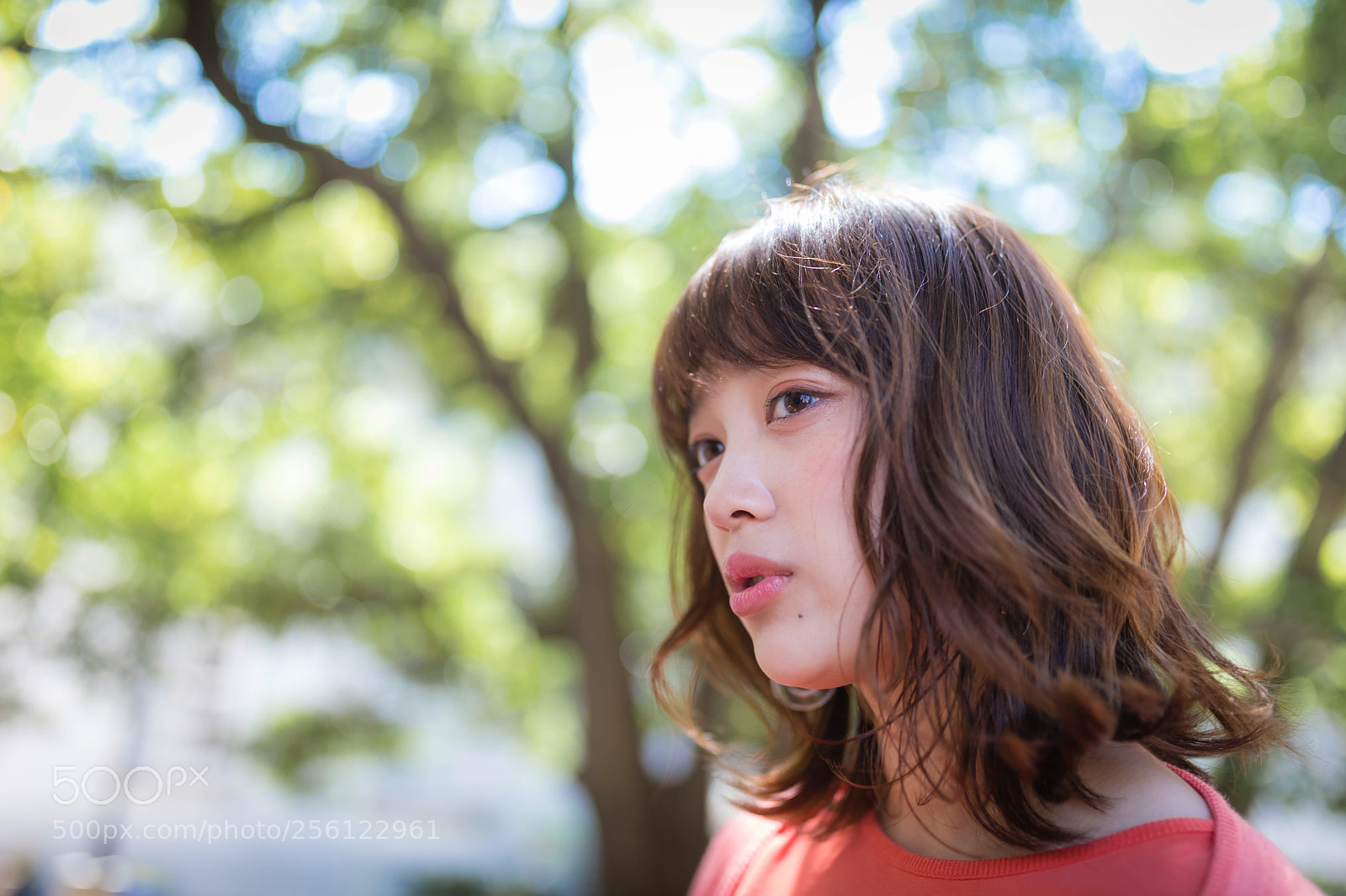 Canon EOS 5D Mark IV sample photo. Rino  photography