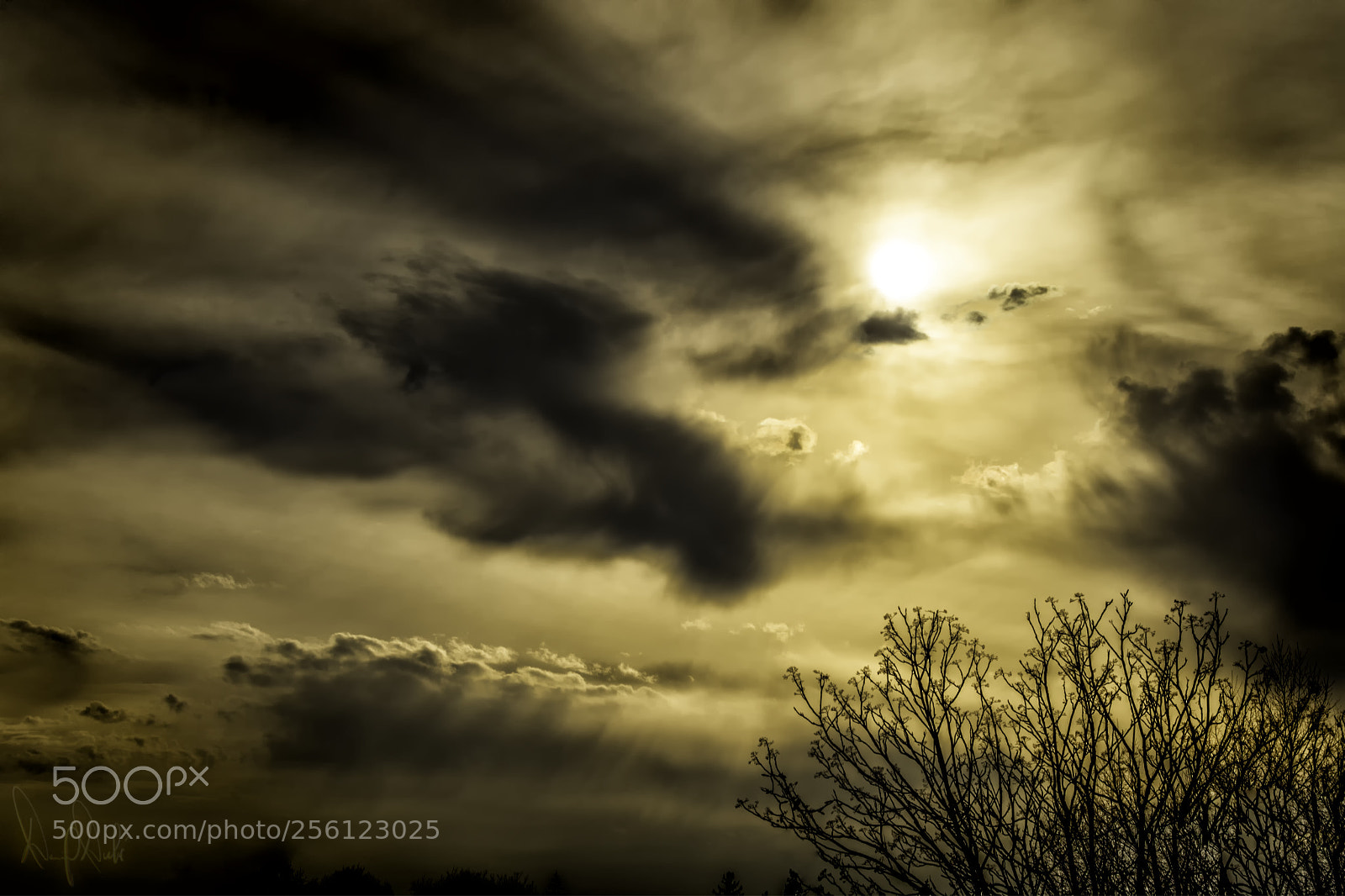 Canon EOS 6D sample photo. May sun photography