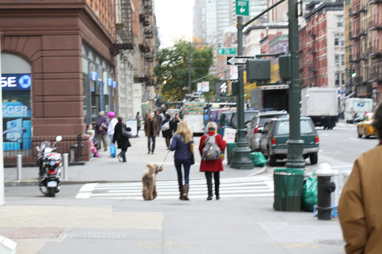 Canon EOS 50D sample photo. New york, usa, november 2010 photography
