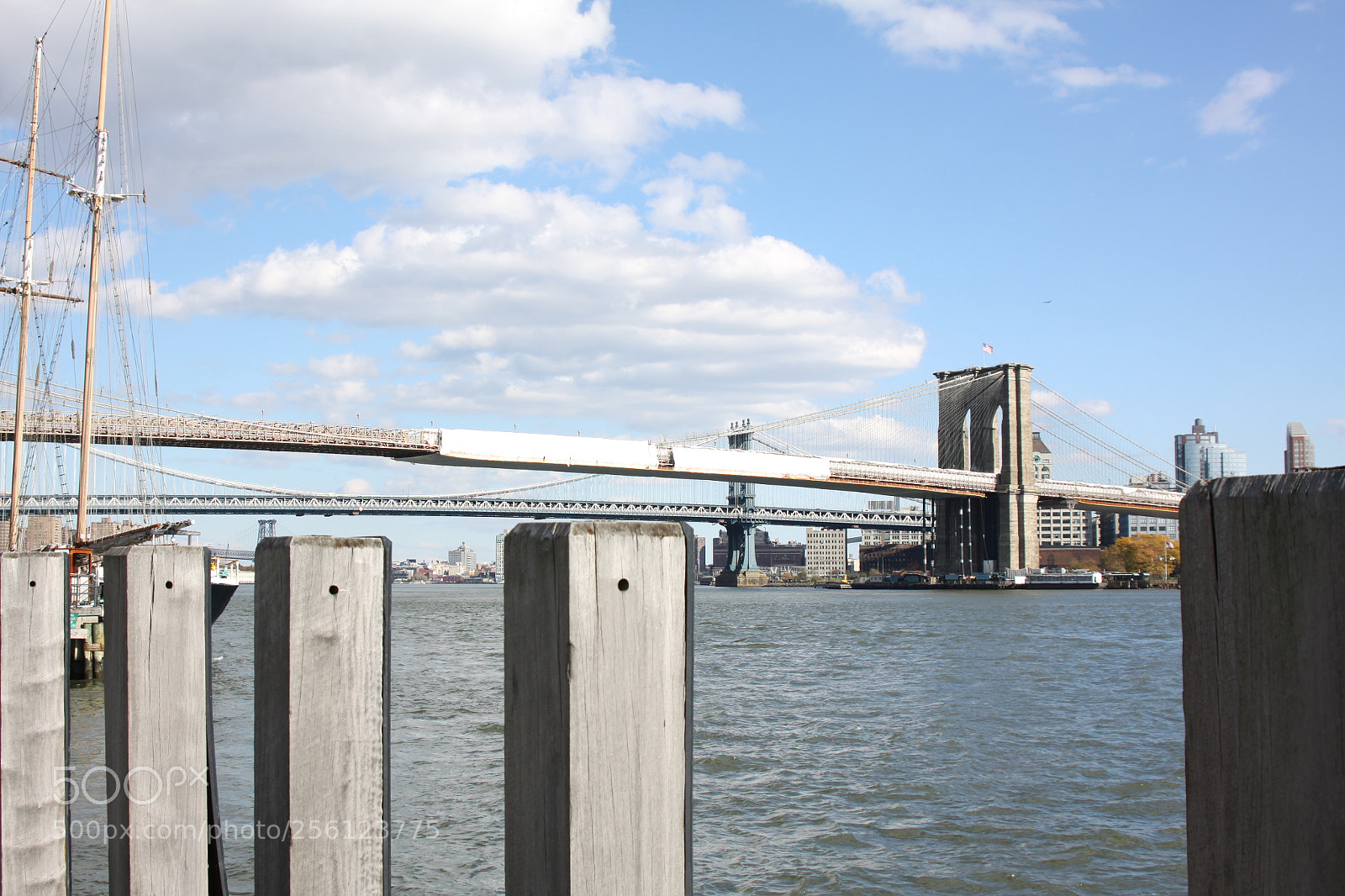 Canon EOS 50D sample photo. New york, usa, november 2010 photography