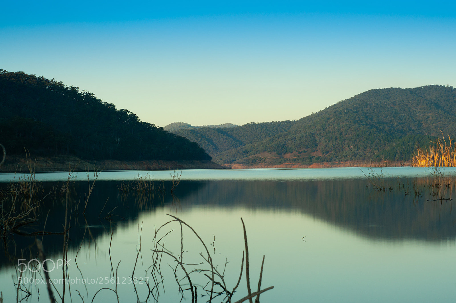 Nikon D90 sample photo. Untitled photography