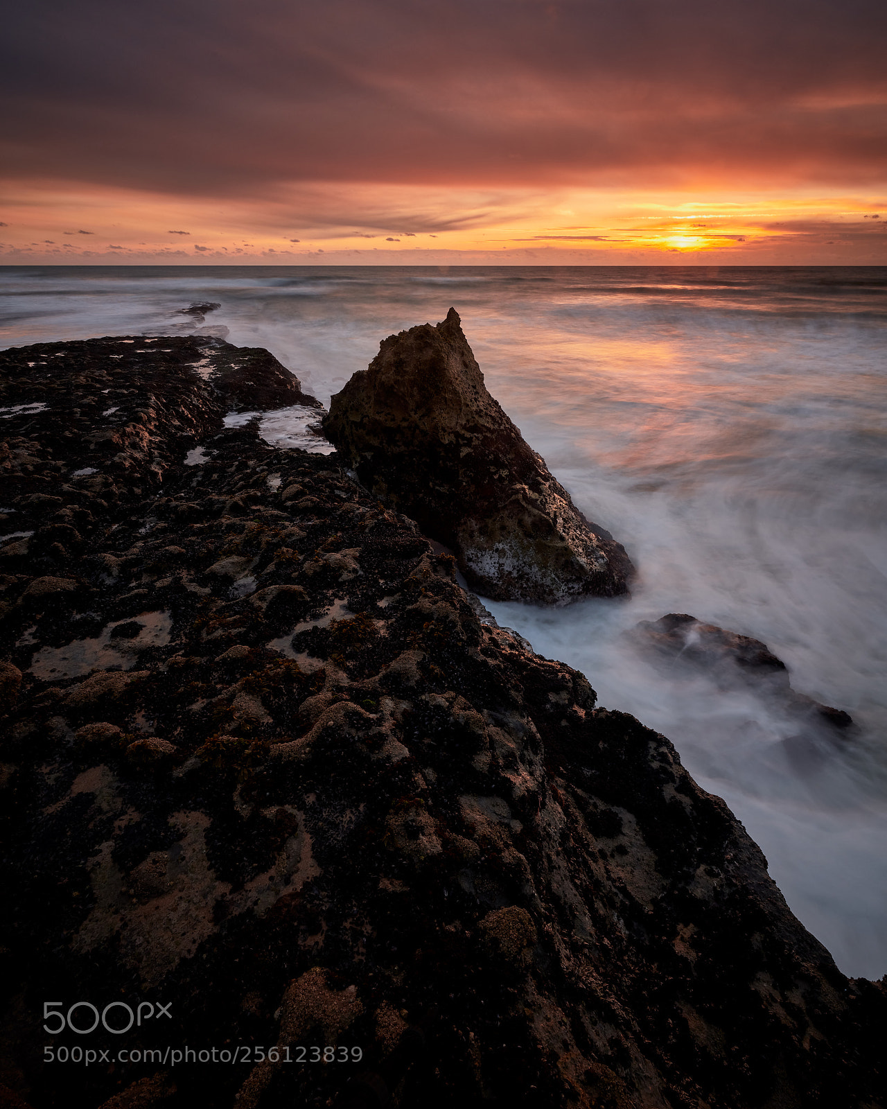 Nikon D850 sample photo. Praia da aguda iii photography