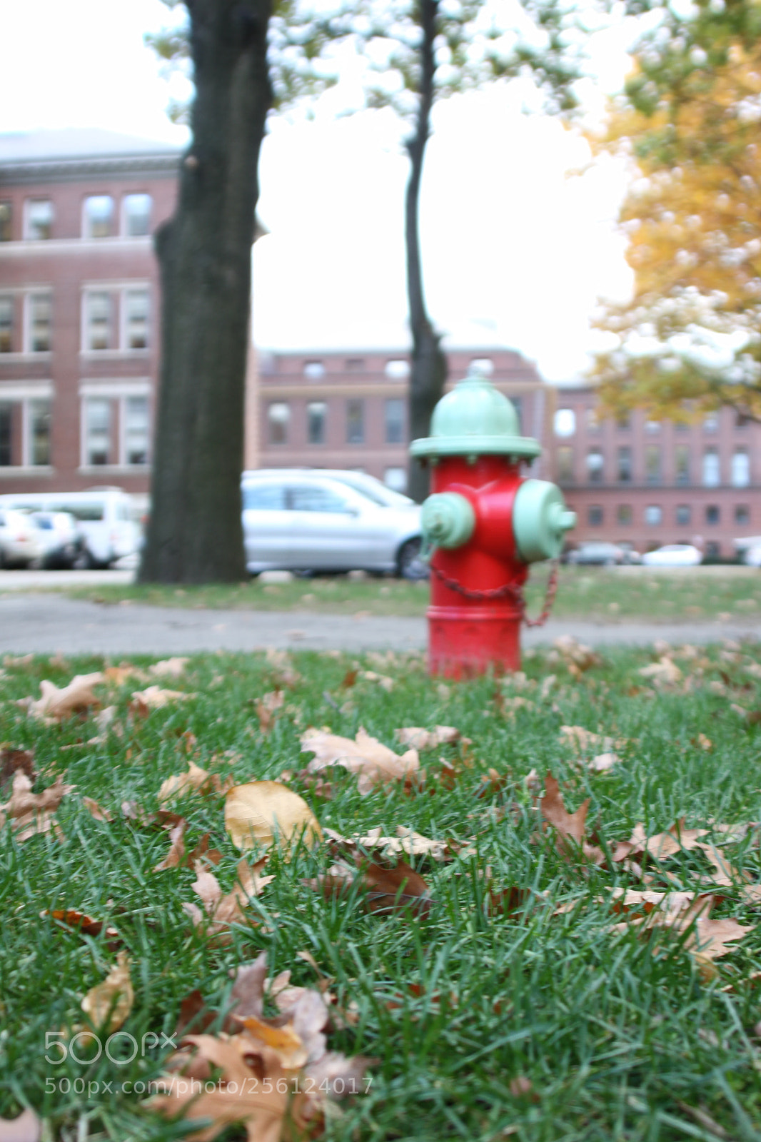 Canon EOS 50D sample photo. New york, usa, november 2010 photography