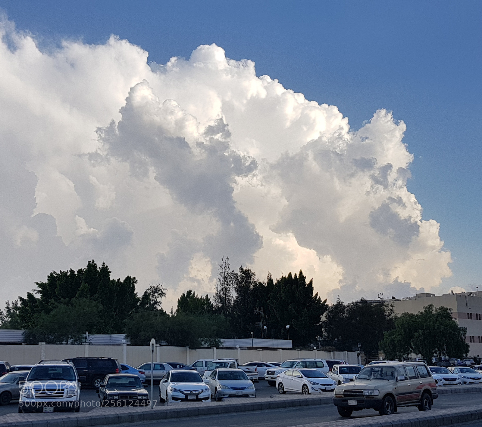 Samsung Galaxy S8+ sample photo. Untitled photography