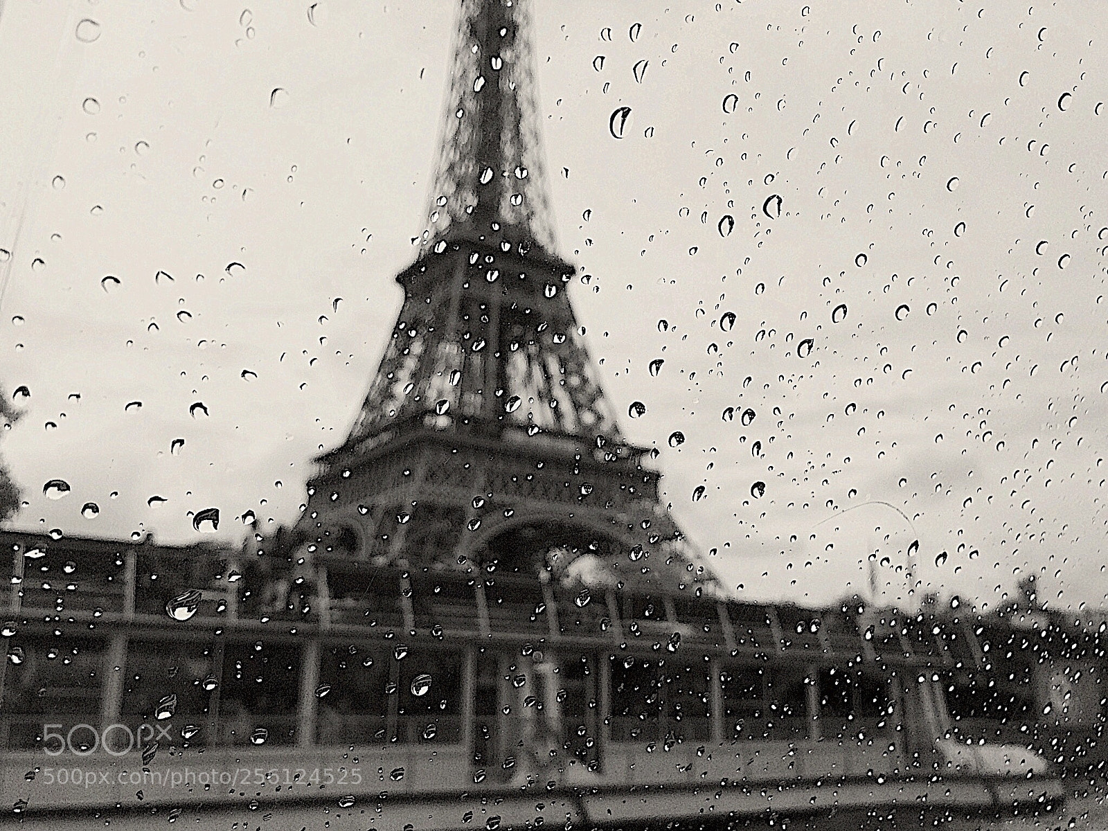 Apple iPhone 5s sample photo. Grisaille photography