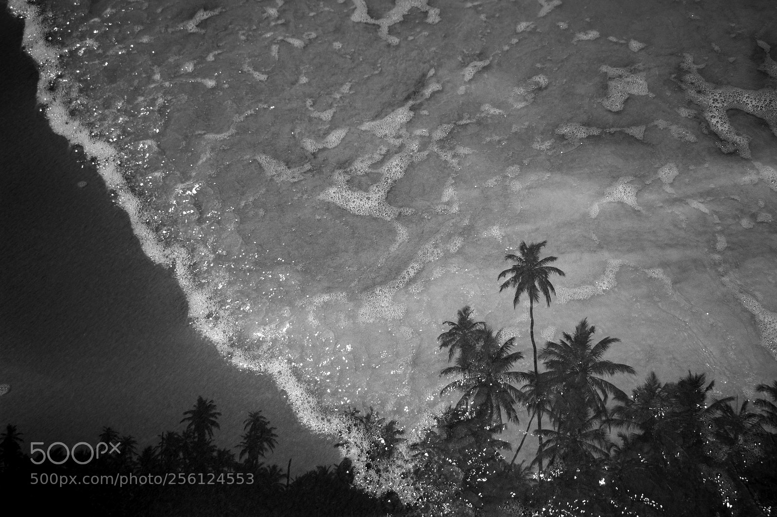 Canon EOS 70D sample photo. Double exposure art photography