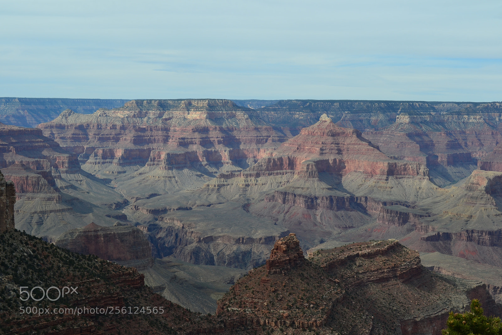Nikon D3100 sample photo. The canyon photography