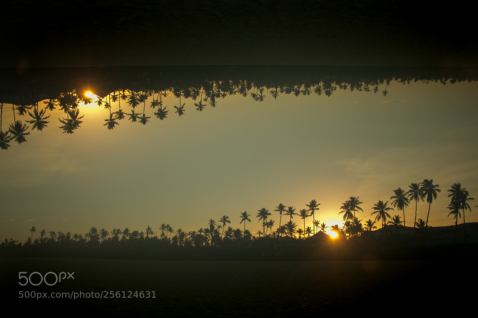 Canon EOS 70D sample photo. Double exposure art photography