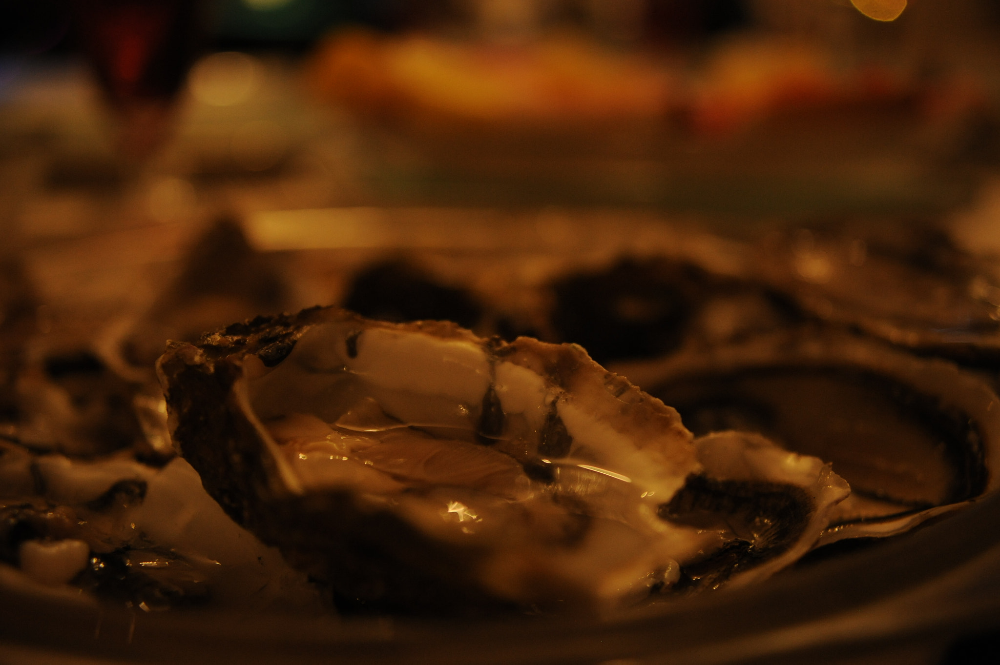 Nikon D700 sample photo. Oyster photography