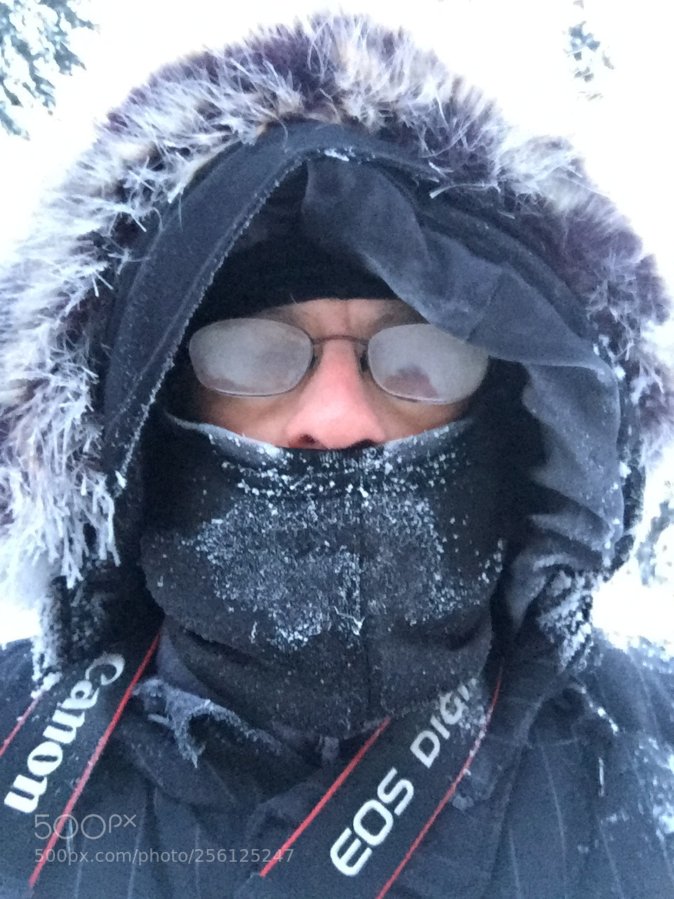 Apple iPhone 6 Plus sample photo. Self-portrait, alaskan morning, -37 photography