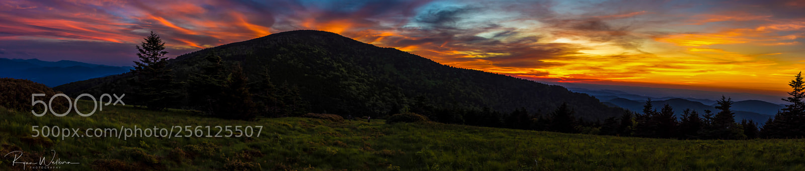 Nikon D7200 sample photo. Roan mountain, tn panoramic photography