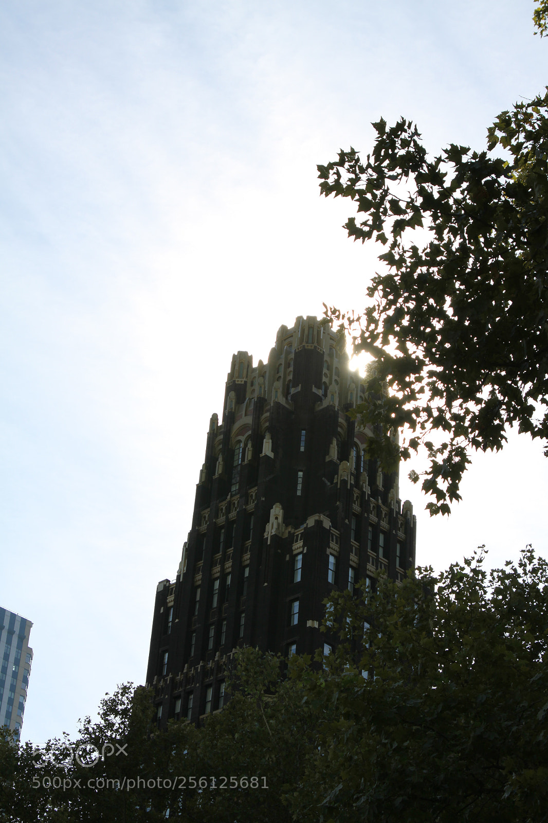 Canon EOS 50D sample photo. New york, usa, november 2010 photography