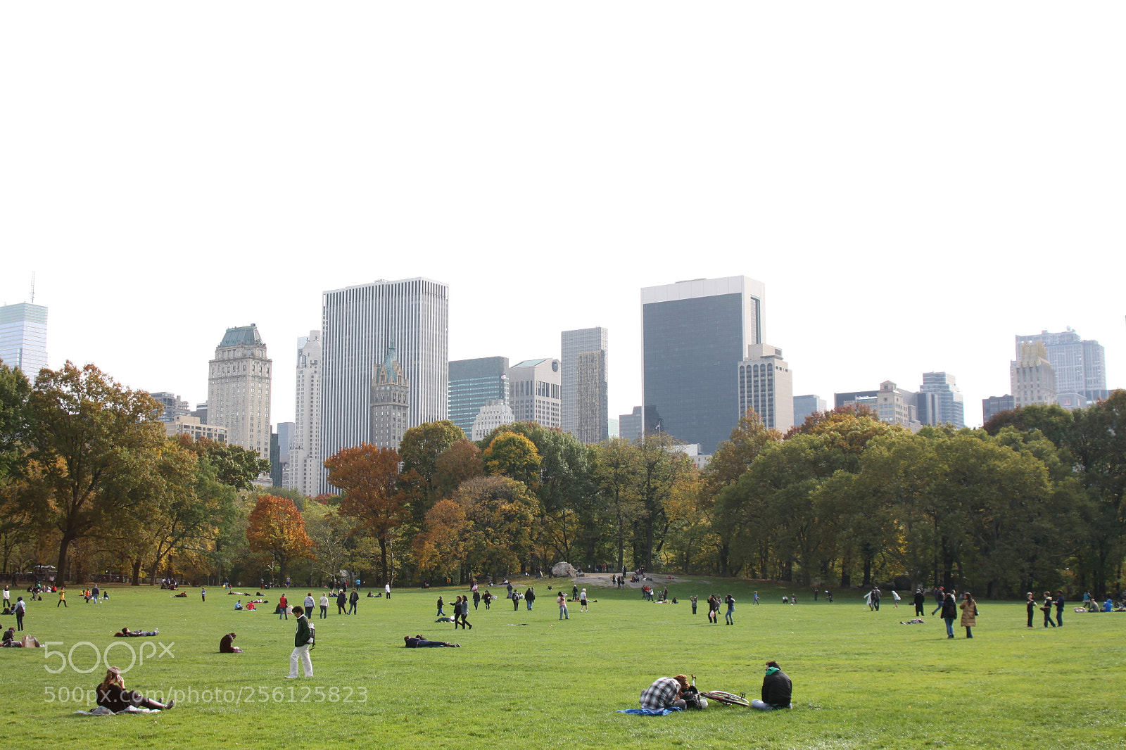 Canon EOS 50D sample photo. New york, usa, november 2010 photography