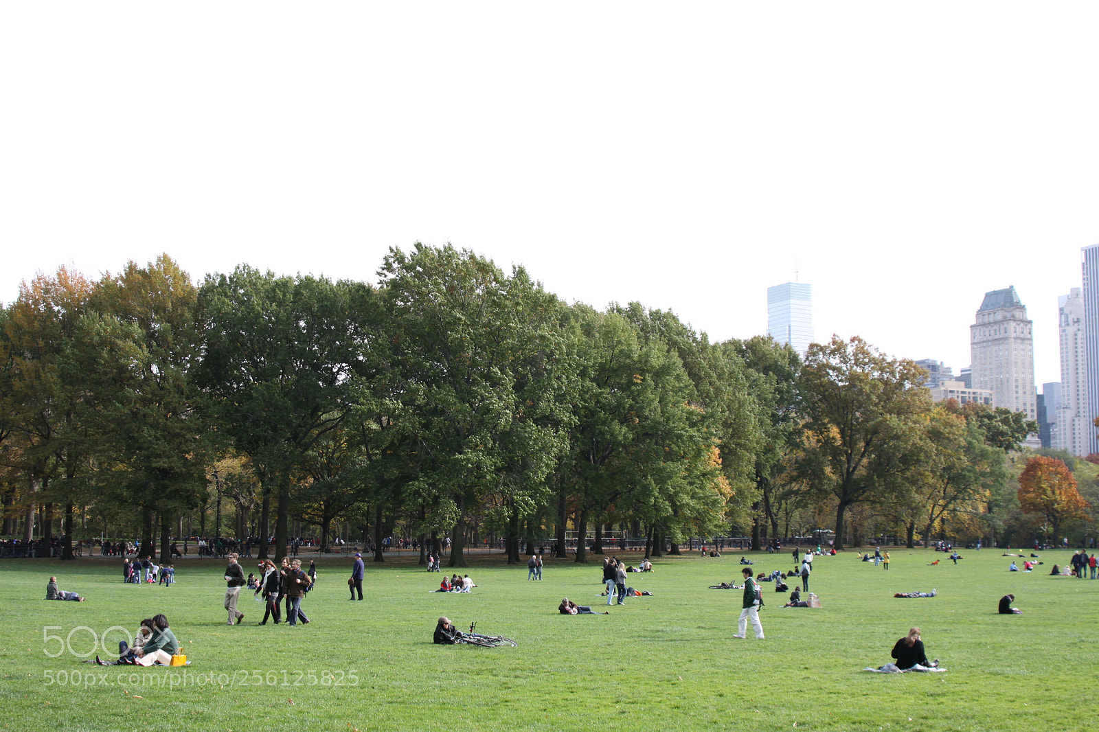 Canon EOS 50D sample photo. New york, usa, november 2010 photography