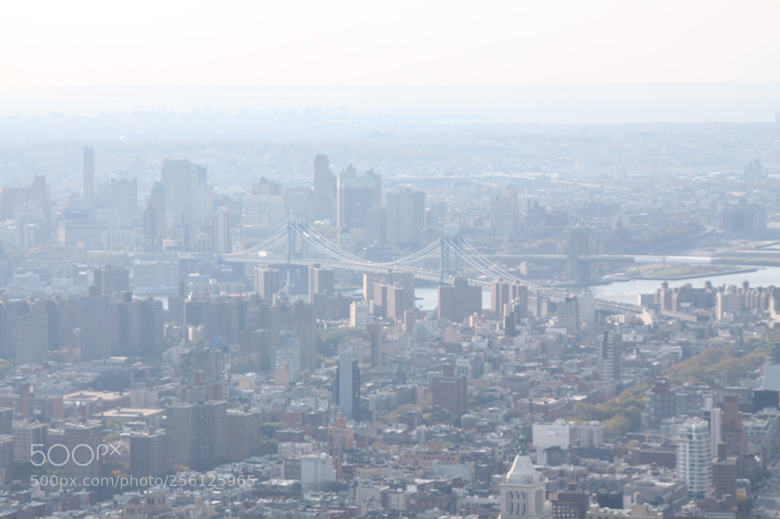 Canon EOS 50D sample photo. New york, usa, november 2010 photography
