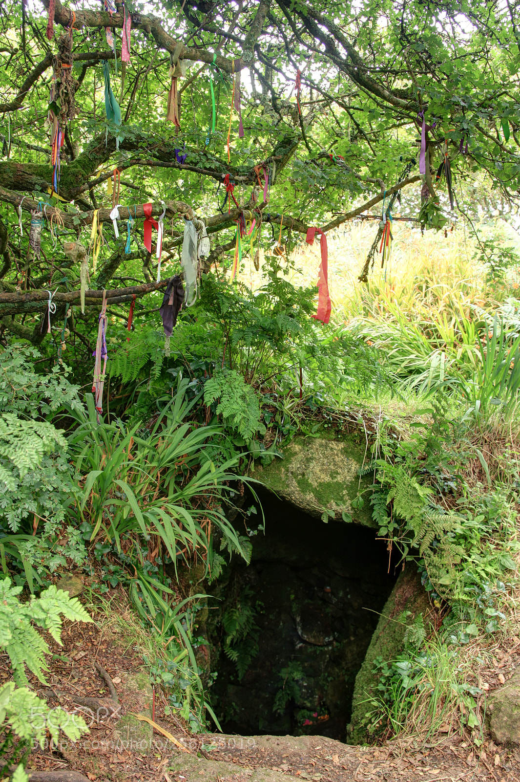 Canon EOS 450D (EOS Rebel XSi / EOS Kiss X2) sample photo. Sancreed's sacred well photography
