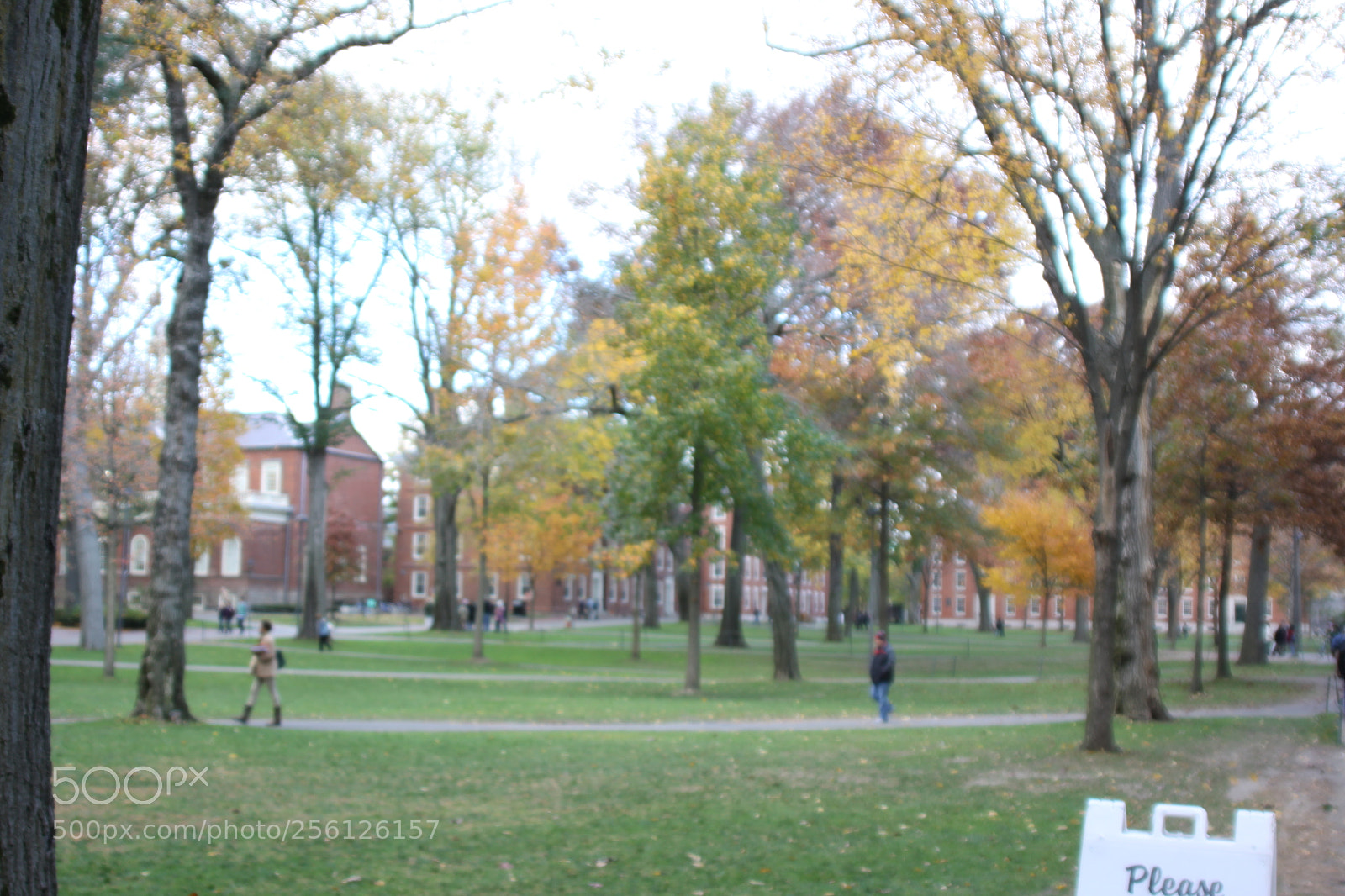 Canon EOS 50D sample photo. Canon d pics photography