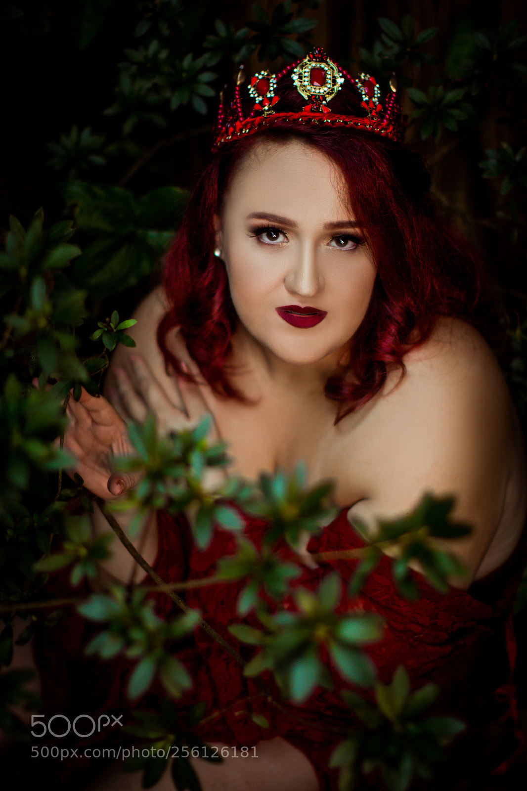 Canon EOS 70D sample photo. Img_8175-editar photography