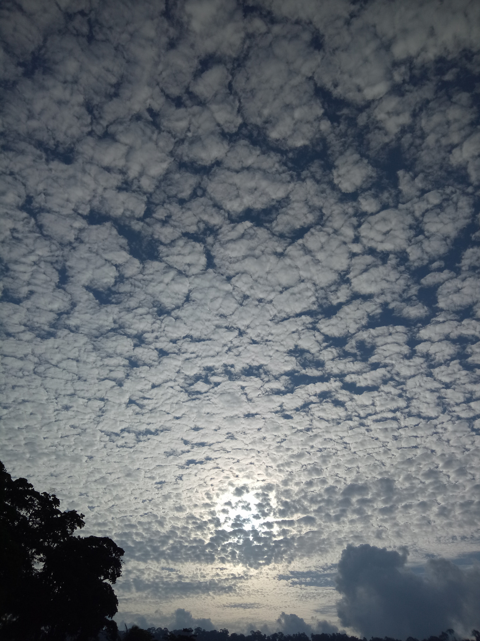 OPPO CPH1609 sample photo. Scattered clouds photography