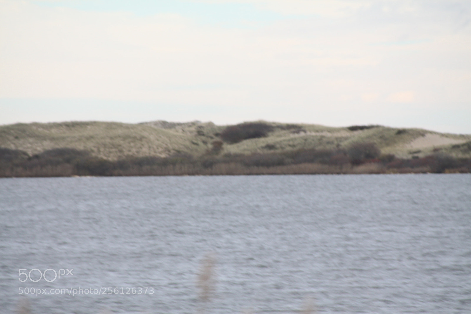 Canon EOS 50D sample photo. Canon d pics photography