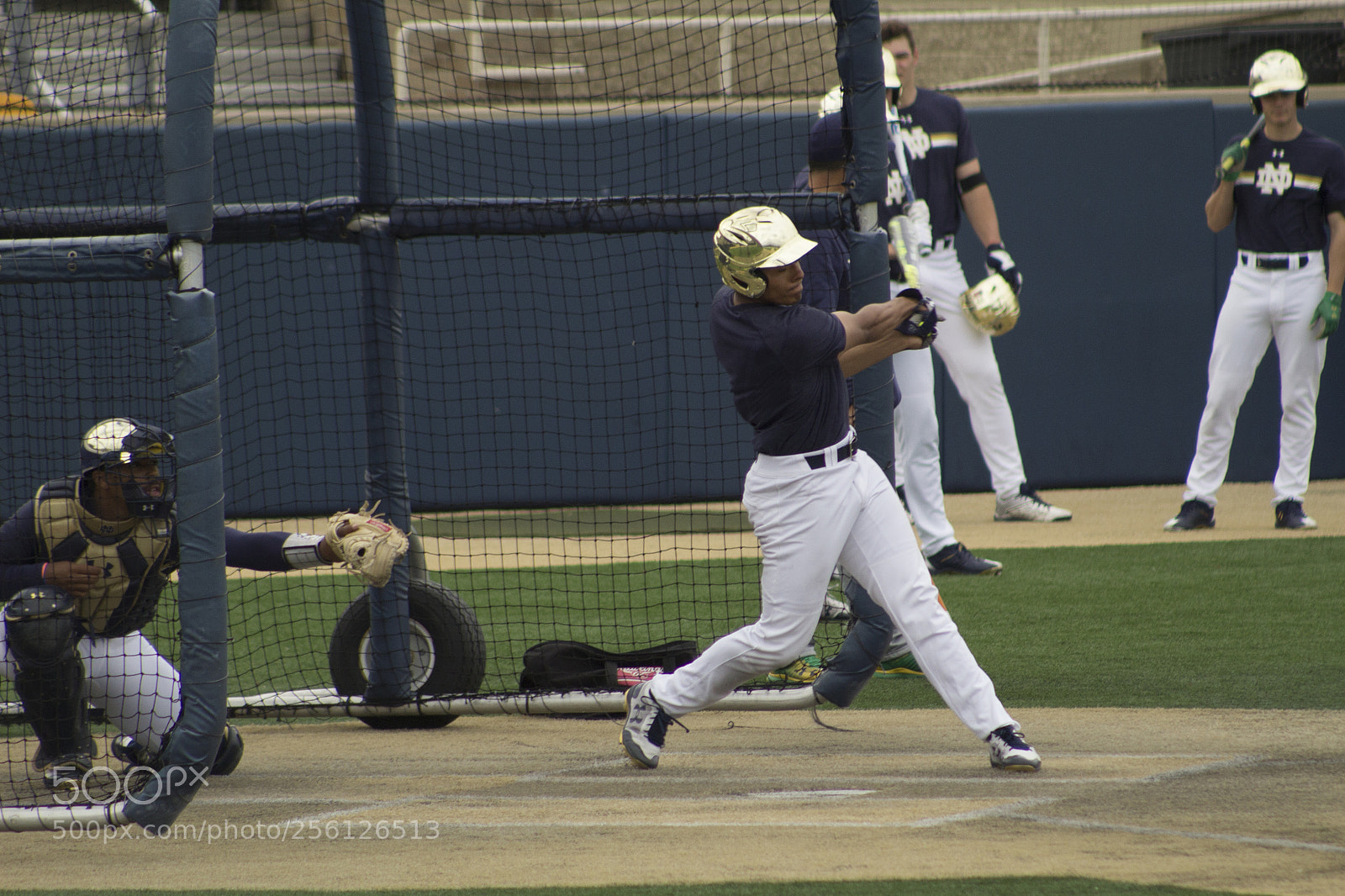 Canon EOS 1200D (EOS Rebel T5 / EOS Kiss X70 / EOS Hi) sample photo. College baseball batting practice. photography