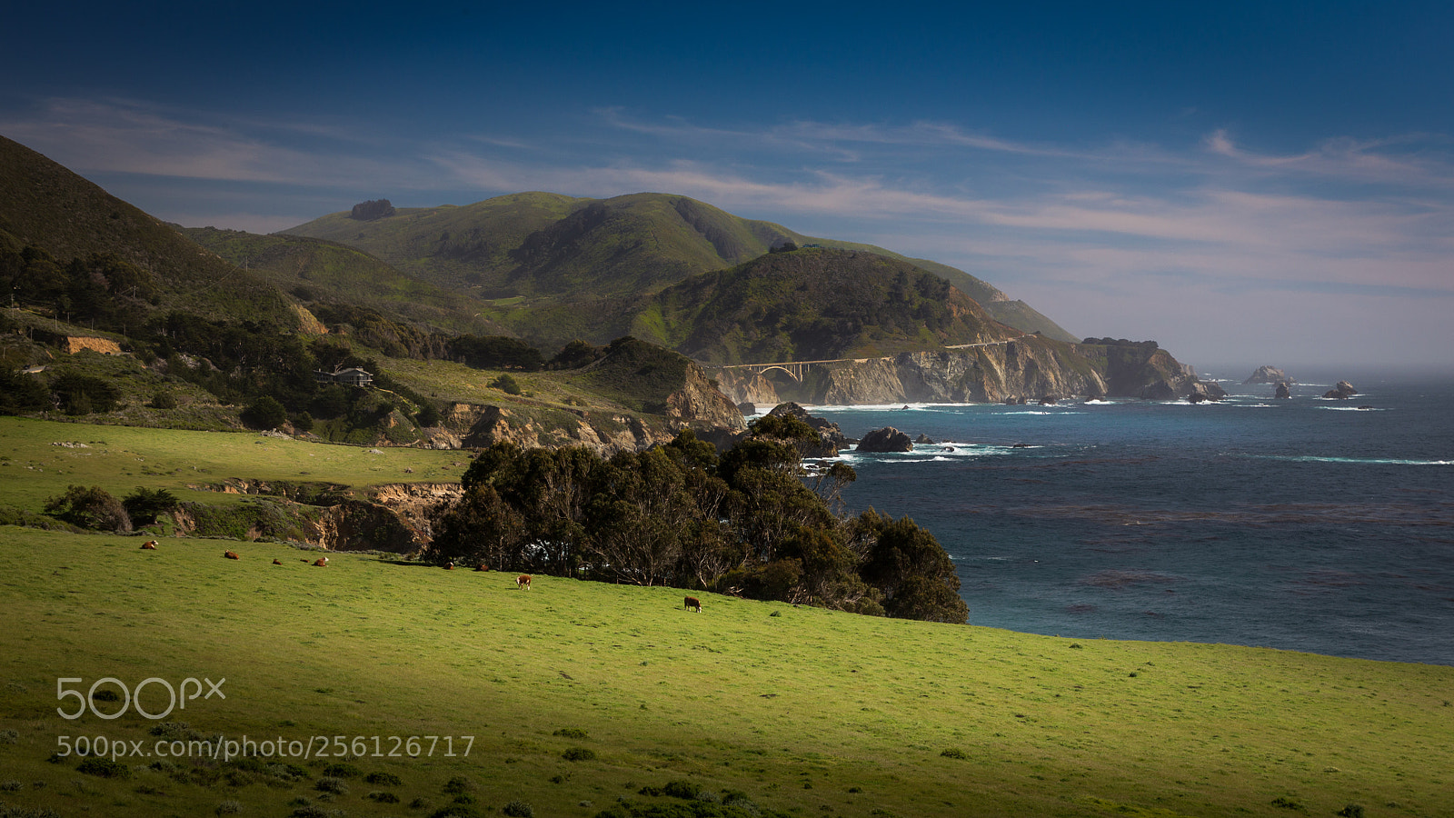 Canon EOS 6D sample photo. Big sur, california photography