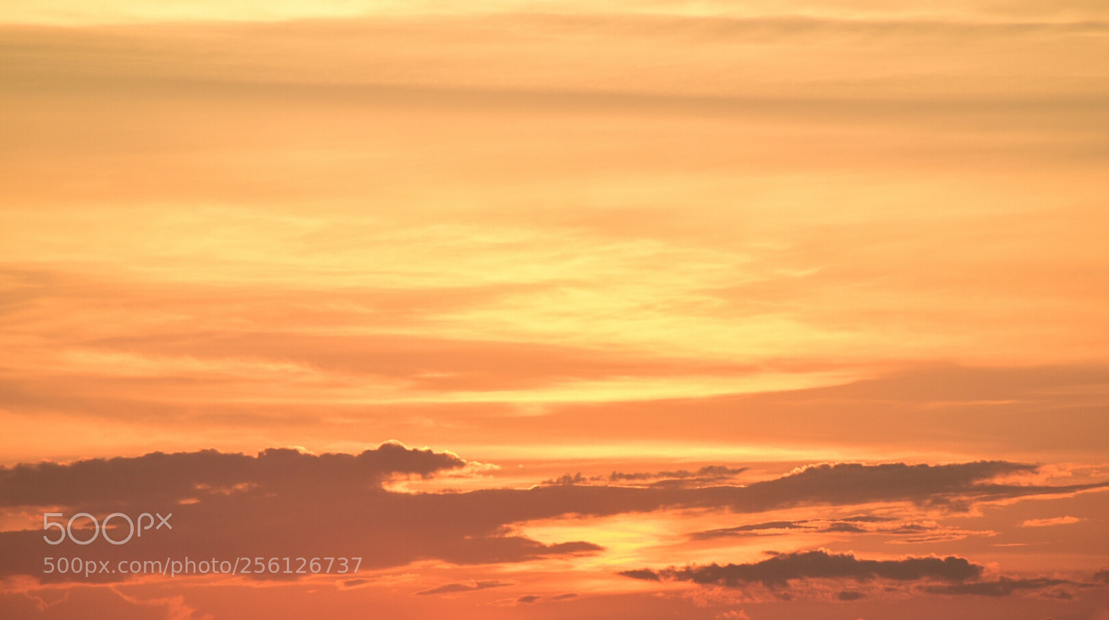 Nikon D5500 sample photo. Magnific sunset photography