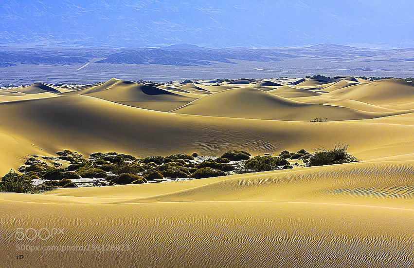 Canon EOS 40D sample photo. Death valley photography