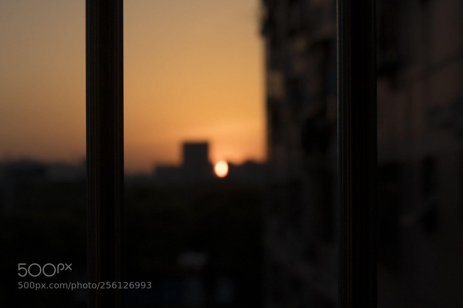 Canon EOS M5 sample photo. Img photography