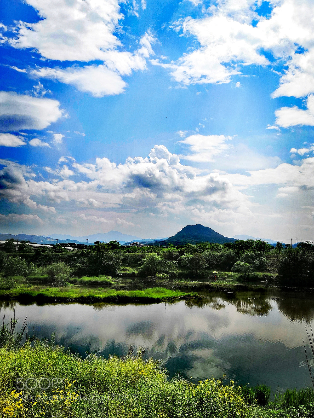 HUAWEI Honor 10 sample photo. Sunny day photography