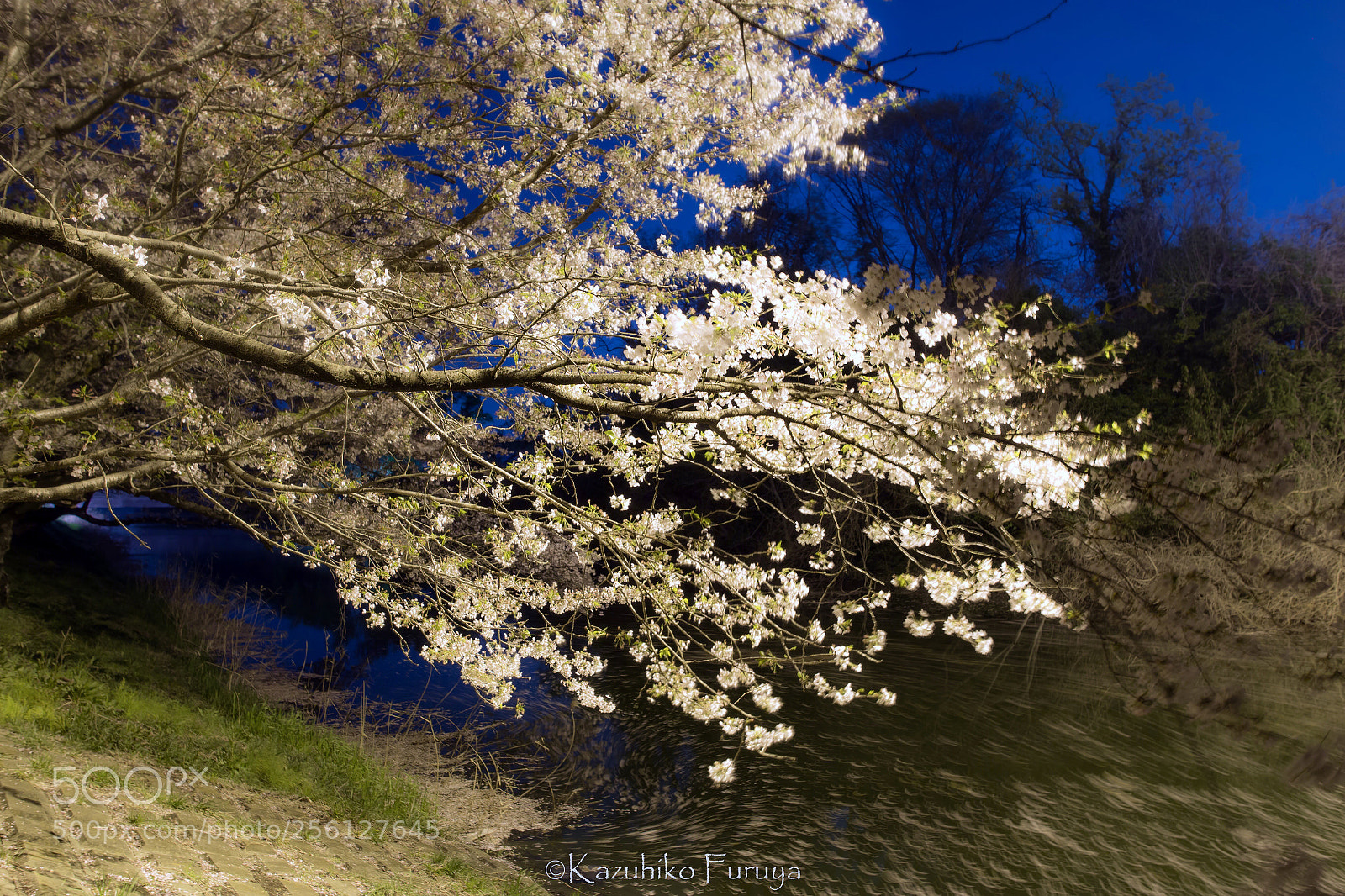 Canon EOS 6D sample photo. Flow photography