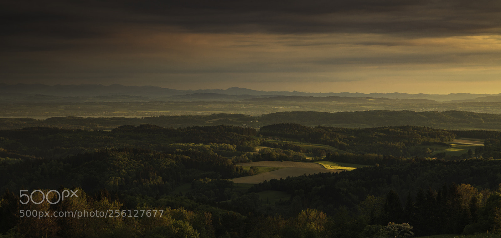 Canon EOS 5D Mark II sample photo. Untitled photography