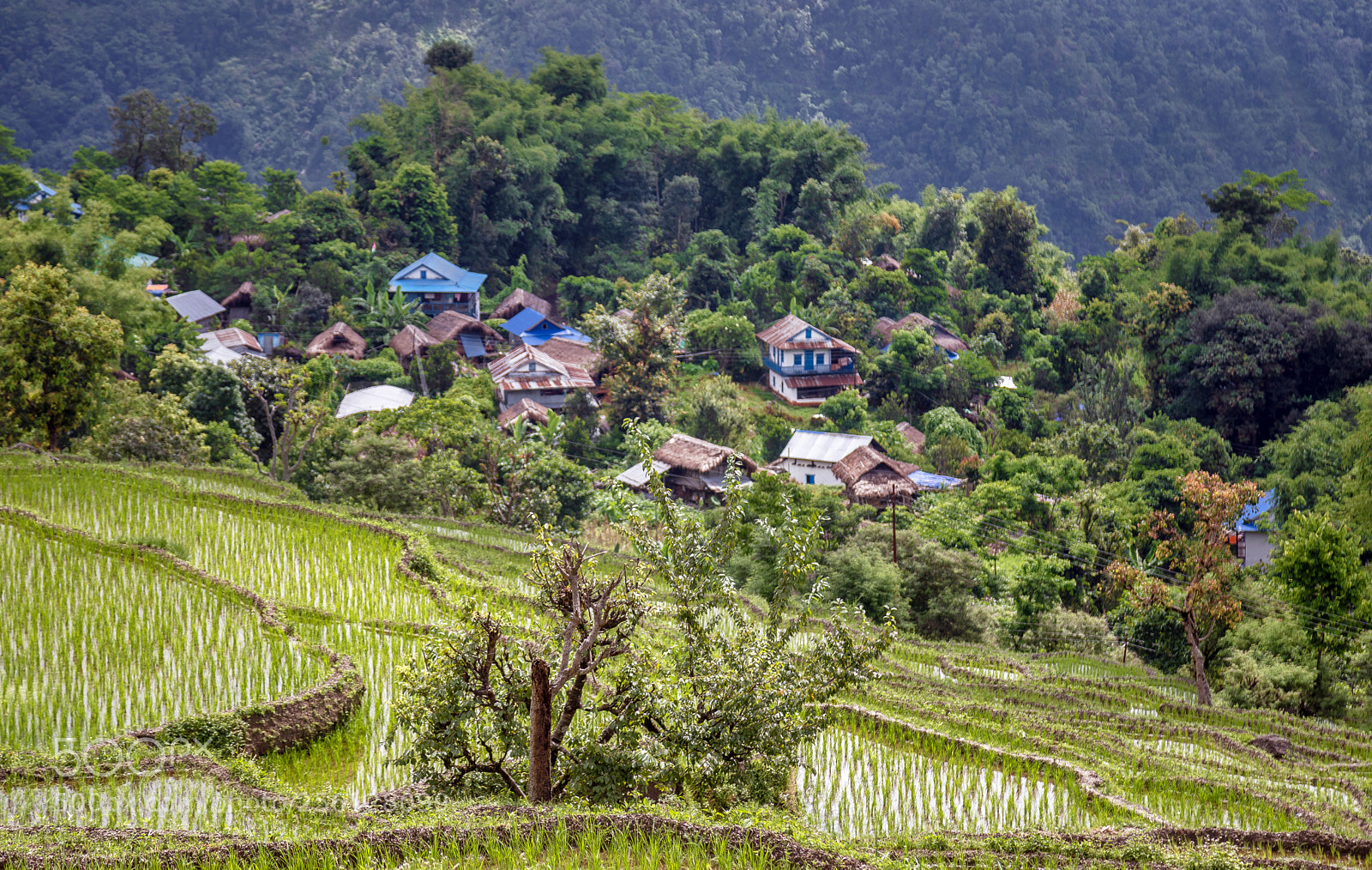 Canon EOS 5D Mark IV sample photo. The town photography
